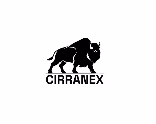 Cirranex Tech Pvt. Ltd logo